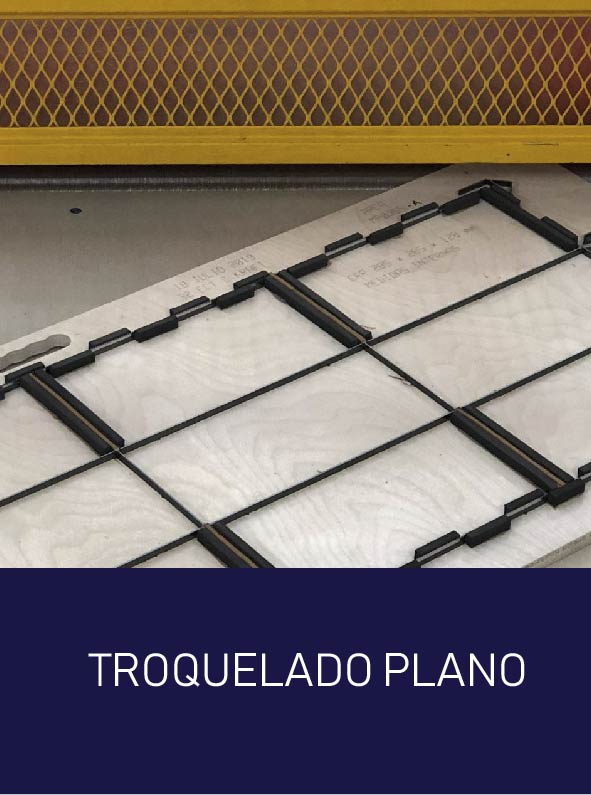 procesos-y-productos-02
